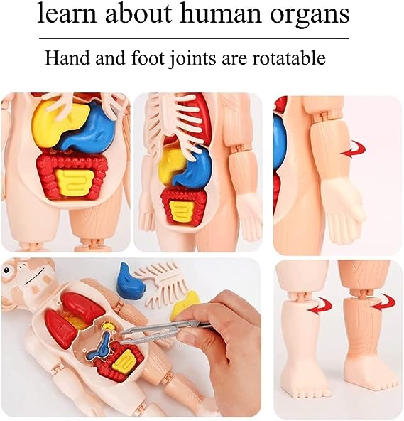🔥Utolsó nap 49% KEDVEZMÉNY - 🔥Felvilágosító játékok gyerekeknek