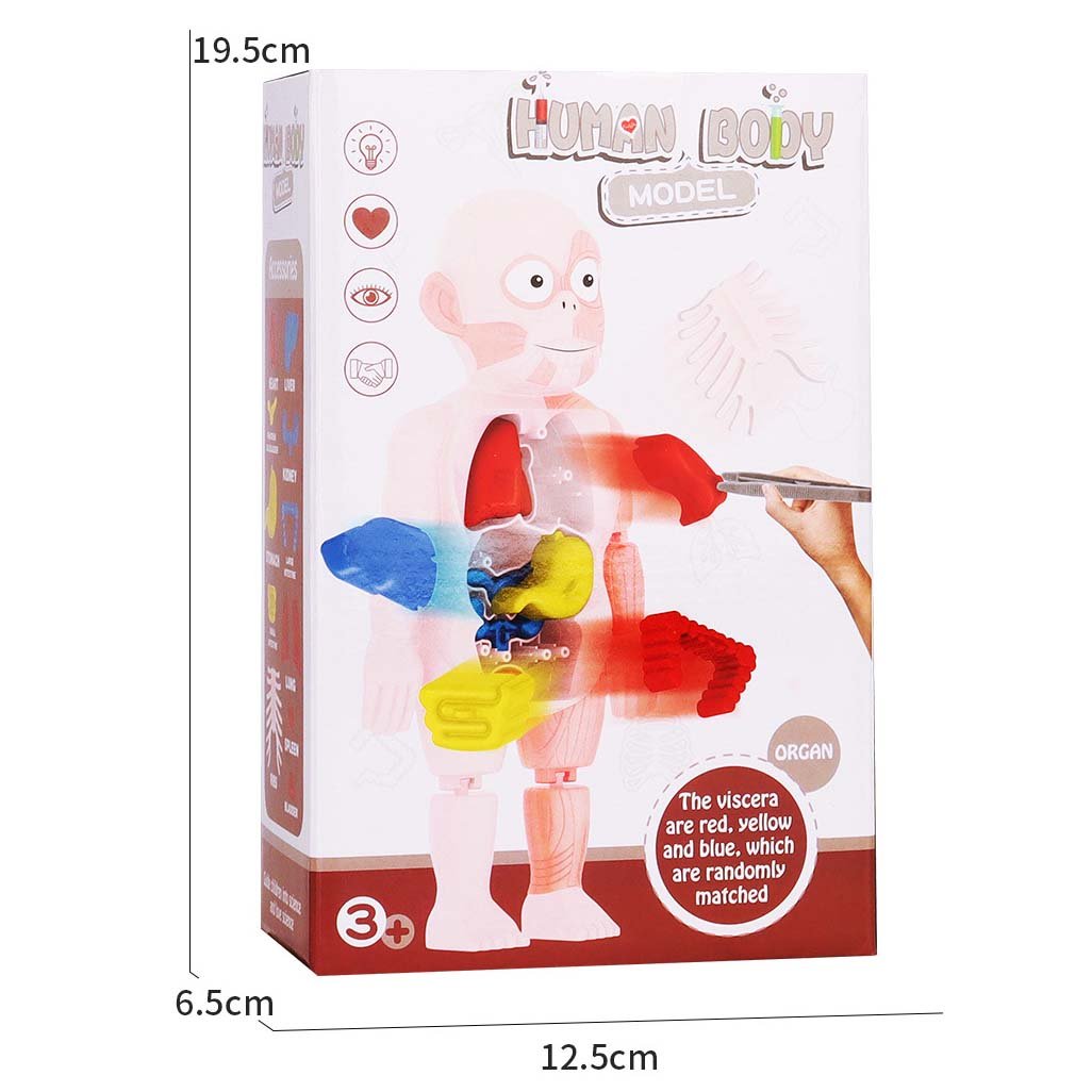 🔥Utolsó nap 49% KEDVEZMÉNY - 🔥Felvilágosító játékok gyerekeknek