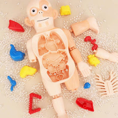 🔥Utolsó nap 49% KEDVEZMÉNY - 🔥Felvilágosító játékok gyerekeknek